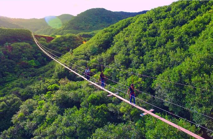 Suspension bridge across a green Mauritius valley